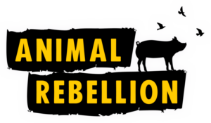 Logo, bestaande uit de tekst "Animal Rebellion", een varkentje en drie vogeltjes.