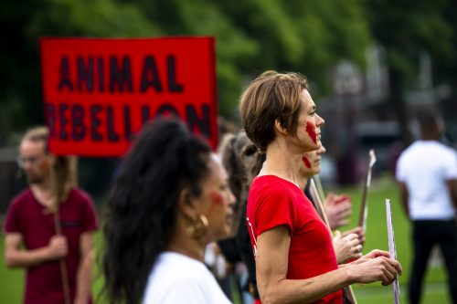 AnimalRebellionprotest AnimalRebellionprotest